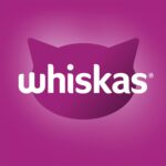 WHISKAS 1+ Years Wet Cat Food with Chicken Favourites in Jelly 85g Pouch, 60 Pack - Image 5